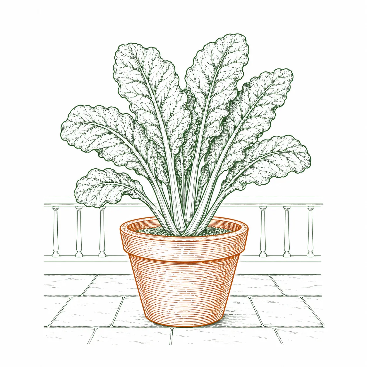 Container illustration