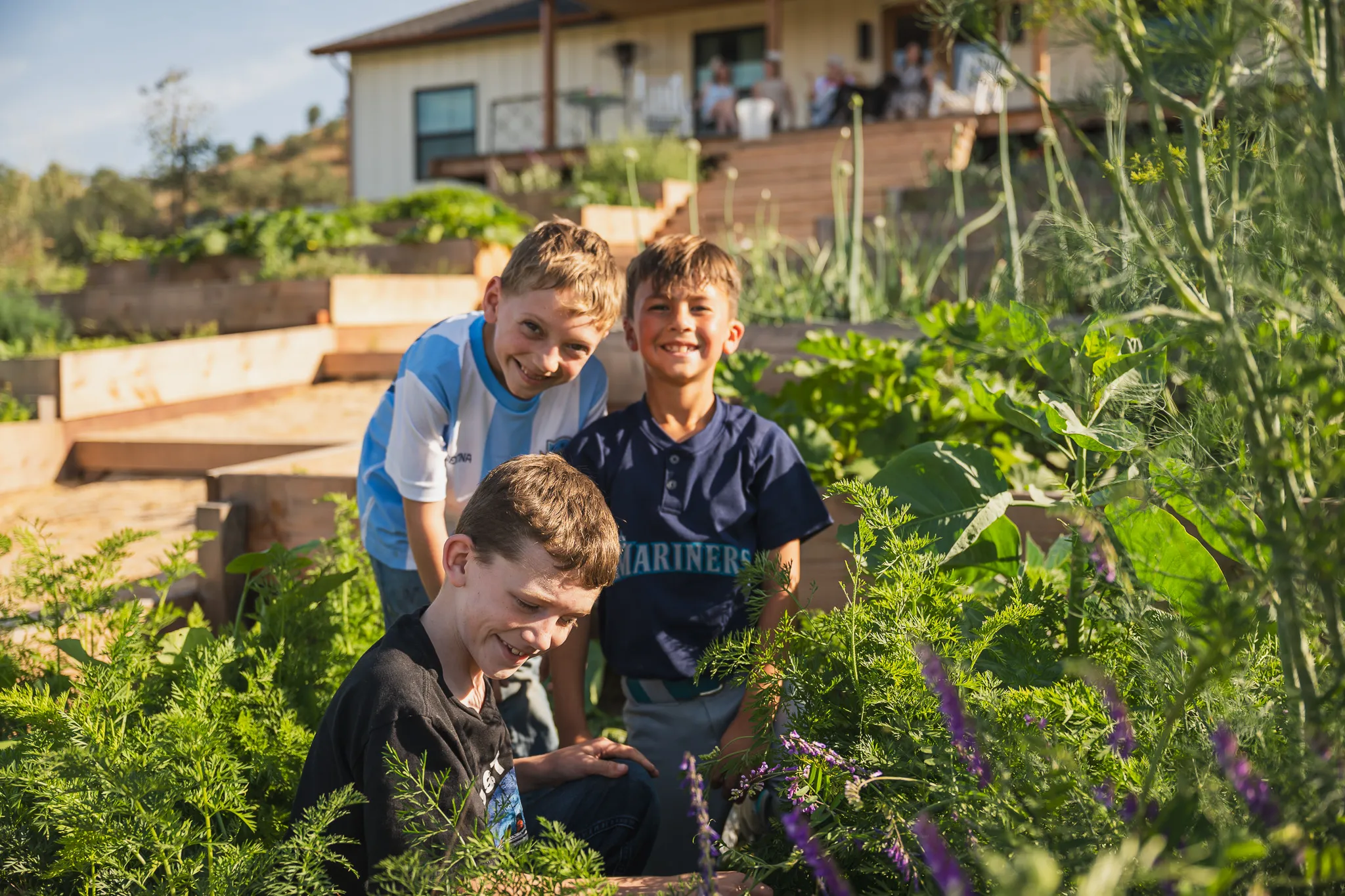 Three boys in a backyard garden bed, smiling, with their family's house behind them.