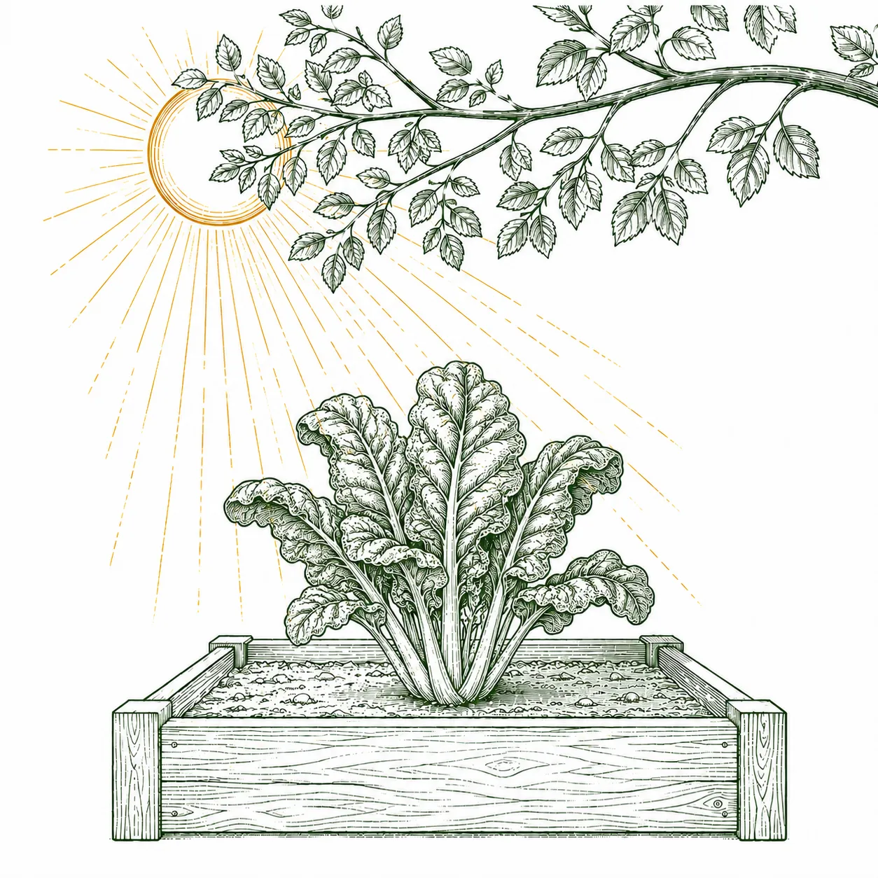 Partial shade illustration